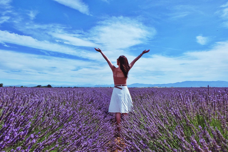 From Aix-en-Provence : Sunset Lavender Tour in Valensole