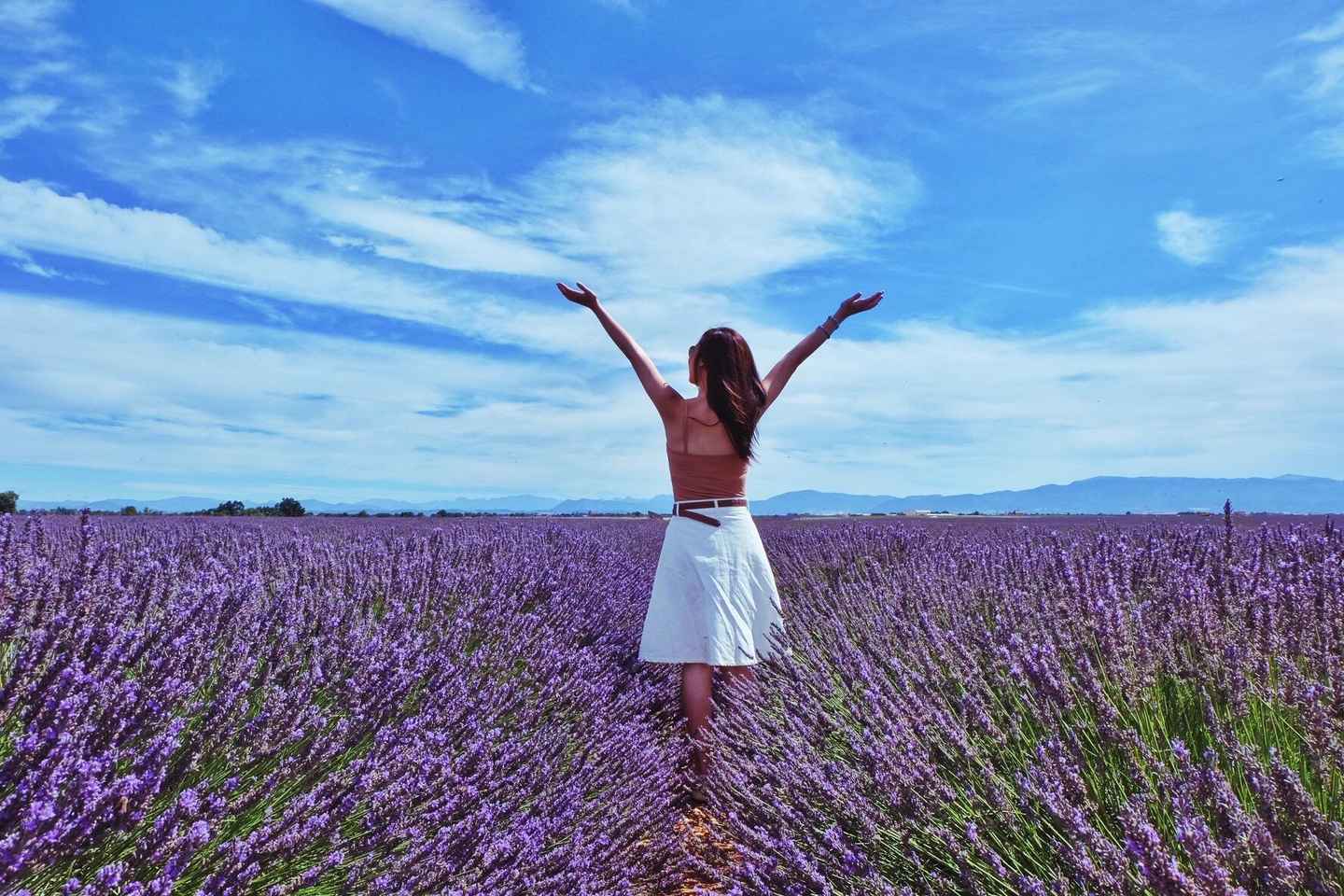 From Aix-en-Provence : Sunset Lavender Tour in Valensole