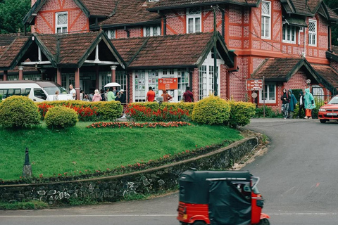 Ella To Kandy Private Transfer With Train Ride Experience