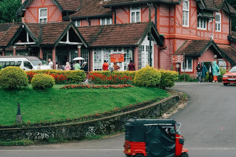 Ella To Kandy Private Transfer With Train Ride Experience
