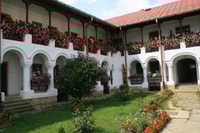 From Iasi, Rural Experience Fortress & Bison Reservation - Housity