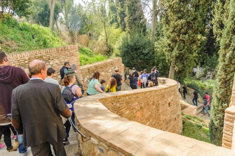 Depuis Séville : Visite du palais de l'Alhambra et de l'AlbaycinDepuis Séville : Visite du palais de l'Alhambra en groupe partagé