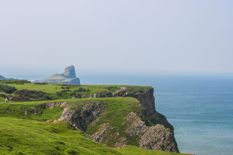 Von Cardiff aus: Gower Peninsula, die schönsten Klippen von Südwales