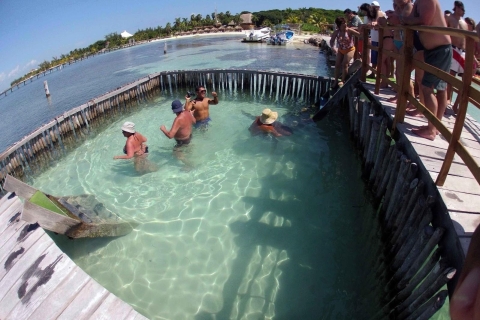 Excursion d'une journée à Isla Mujeres avec déjeuner et bar ouvert