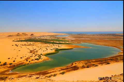 From Cairo: 4x4 Desert Safari, Waterfalls & Magic Lake Shared Tour: Wadi El Rayan, Magic Lake & Lake Qarun, Jeep