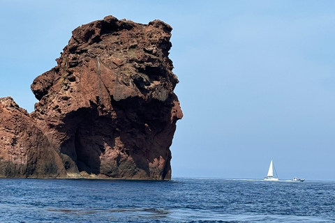Calvi: Guided speedboat tour to Scandola Calvi: Guided tour by speedboat to Scandola