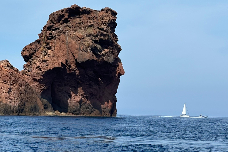Calvi: Guided speedboat tour to Scandola Calvi: Guided tour by speedboat to Scandola