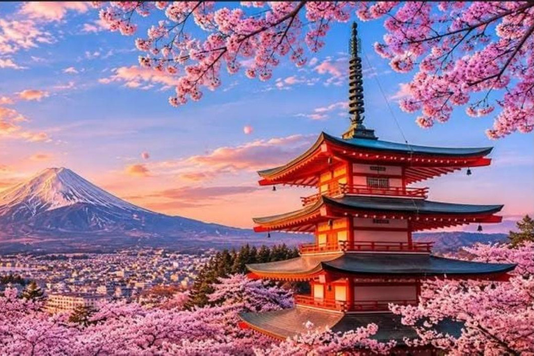 Tokyo:Mount Fuji Explorer Private Tour(Customised)With Guide