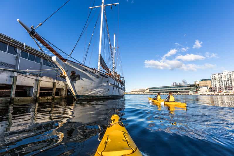Hobart City 2.5Hour Kayak Tour GetYourGuide