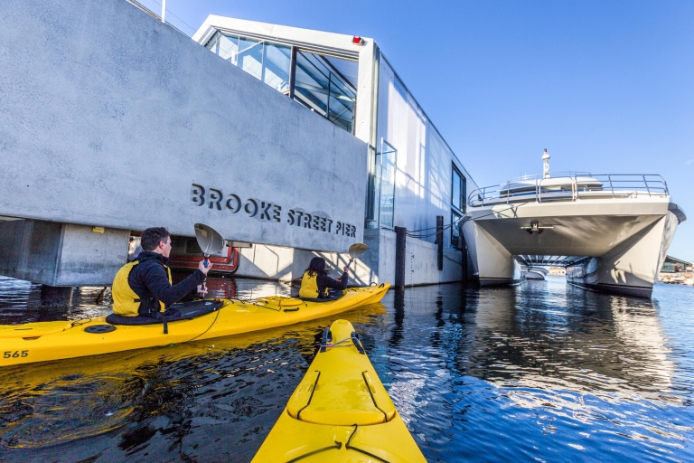 Hobart : visite de 2,5 h en kayak