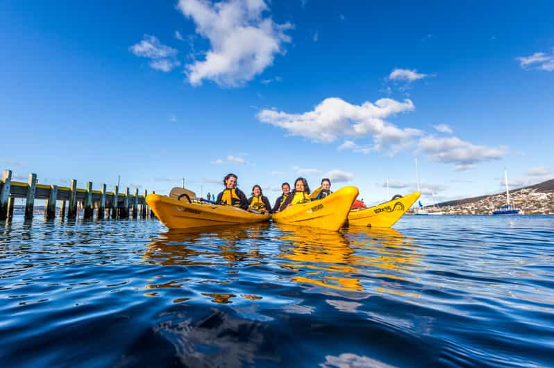 Hobart City 2.5Hour Kayak Tour GetYourGuide