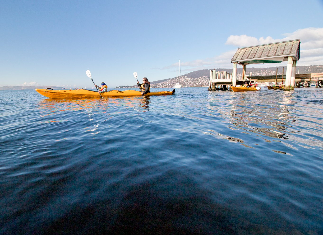 Hobart City 2,5 timers kajakrundvisning