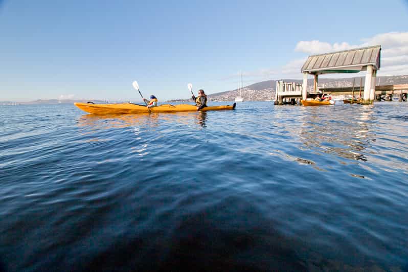 Hobart visite de 2,5 h en kayak GetYourGuide