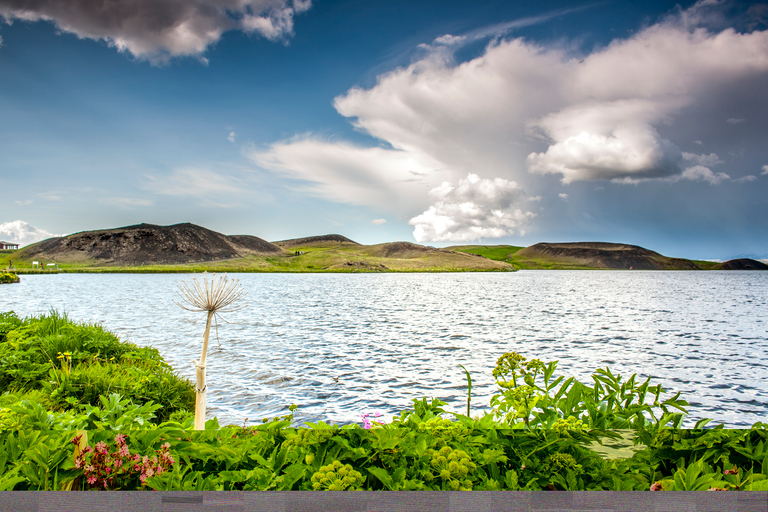 Depuis Akureyri : excursion au lac Myvatn