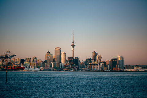 Vanuit Auckland: Smaak van Waiheke-eiland dagtour