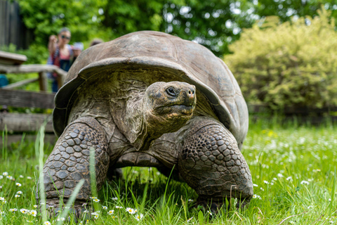 Prager Zoo: Ticket ohne Anstehen Einlass ohne Anstehen