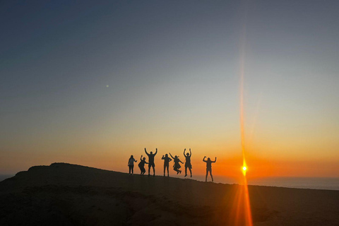 PREMIUM TREKKING GOLDEN SHADES