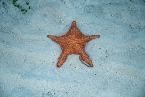 Romantisches Campen auf den San Blas InselnPrivate Insel in San Blas - Romantisches Camping