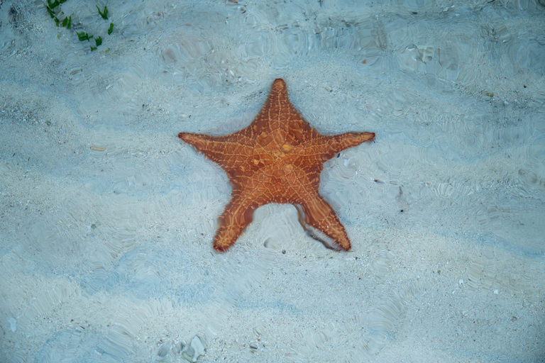 Romantisches Campen auf den San Blas InselnPrivate Insel in San Blas - Romantisches Camping