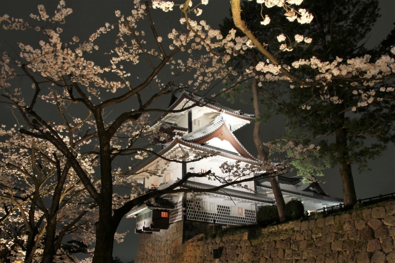 Kanazawa : Visite guidée privée d'une journée entière