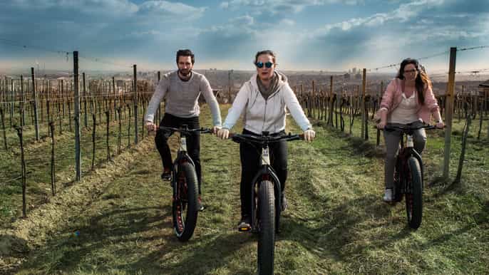 Viena: Go Green Eco Tour en bicicleta de montaña eléctrica