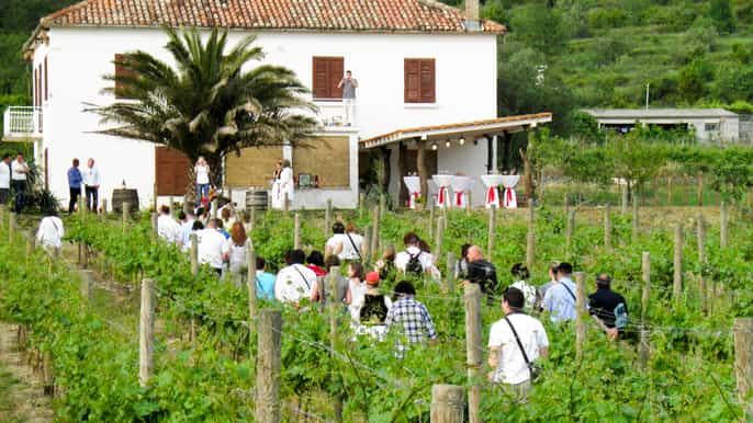konavle valley tour with wine tasting from dubrovnik