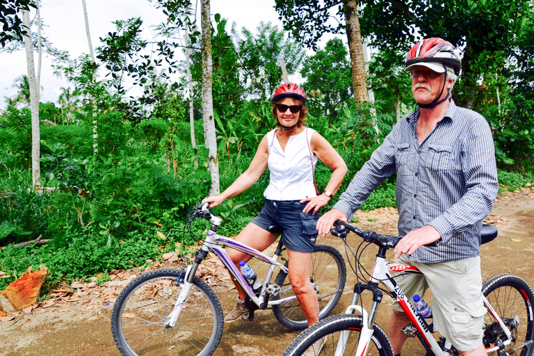 Bali : tour en vélo électrique de 1 h dans les rizières