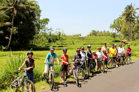 Bali : tour en vélo électrique de 1 h dans les rizières