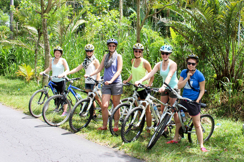 Bali : tour en vélo électrique de 1 h dans les rizières