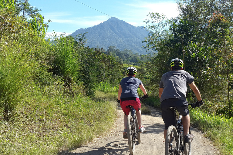 Bali : tour en vélo électrique de 1 h dans les rizières