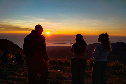 From Lombok: Kanawa Island and Whale Shark Tour with Meals