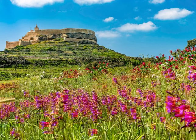 From Malta: Full-Day Gozo Sightseeing Bus Tour with Lunch