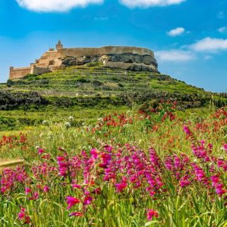 From Malta: Full-Day Gozo Sightseeing Bus Tour with Lunch