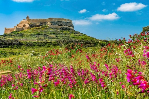 Gozo: Ganztägige Sightseeingtour auf Maltas Schwesterinsel