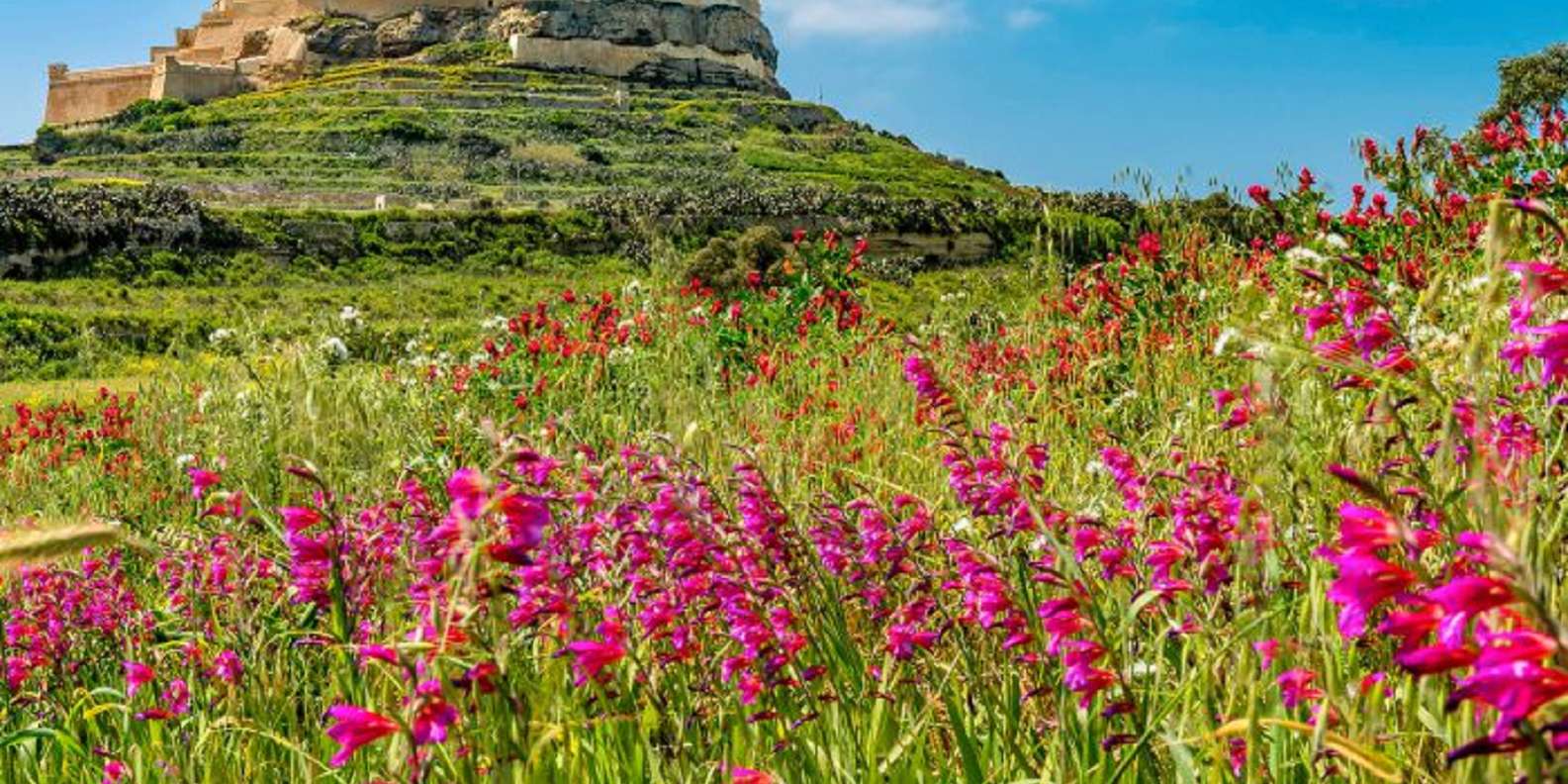 Gozo: ganztägige Tour ab Malta