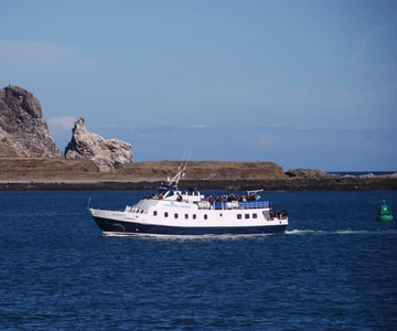 Dublin: Dublin Bay Cruise from Howth to Dun Laoghaire