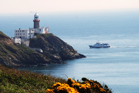 Dublin: Cruise from Howth to Dun LaoghaireMidweek