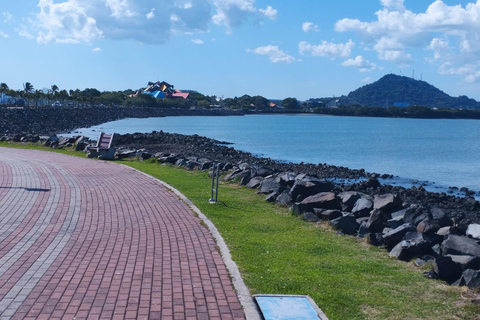 Panama Canal & City Tour