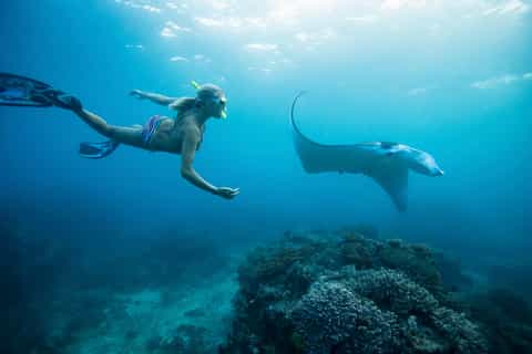 From Bali: Swim with Manta Rays in Nusa Penida
