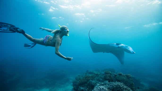 from bali swim with manta rays in nusa penida