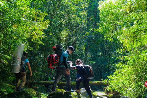 Ho Chi Minh City Sightseeing Phu My Port Shore Excursion Private Premium Car Tour With Massage