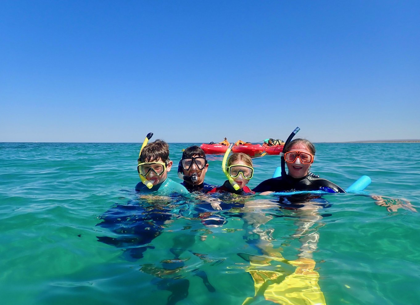 Exmouth: Skildpaddekajak og snorkeltur på en halvdagstur