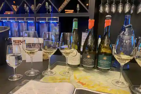 Privat Burgund 4 Domains 20 Chablis Weine Höhlen von Paris