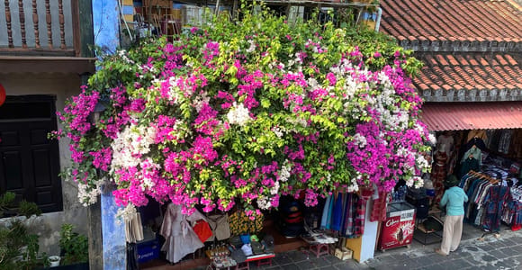 Hoi An: Guided Walking Tour and Vietnamese Coffee Class