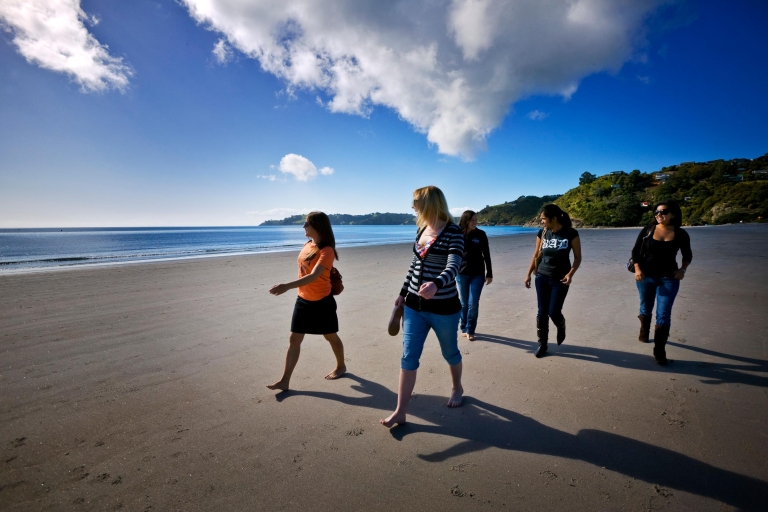 Wyspa Waiheke: bilety autobusowe Explorer na prom i wsiadanie i wysiadanie