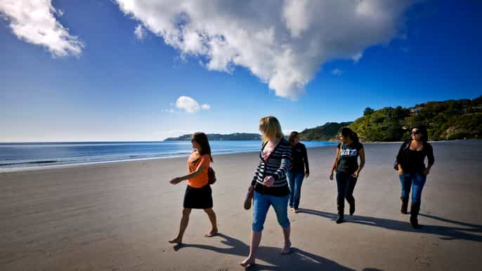 waiheke island ferry explorer hopon hopoff bus tickets