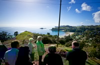 Waiheke Island, Ferry & Hop-On Hop-Off Explorer Bus Tickets - Housity