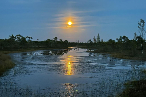 Jurmala: Excursión al atardecer al Parque Nacional de Kemeri