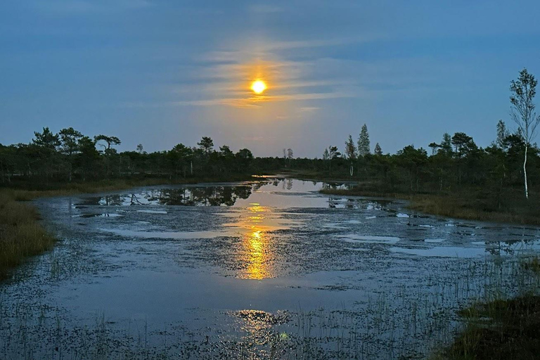 Jurmala: Excursión al atardecer al Parque Nacional de Kemeri