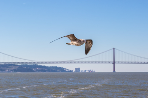 Lisbon 2-Hour Tagus River Sailing Cruise